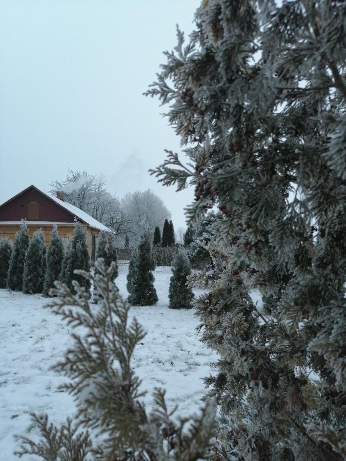 Usadba Kupalinka Hotel Ostrovo Quarto foto