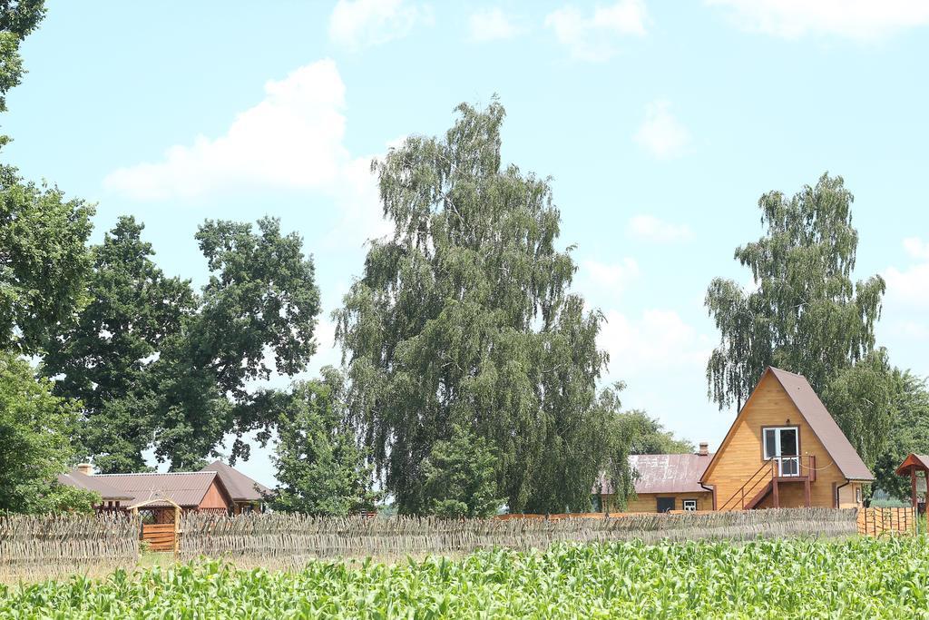 Usadba Kupalinka Hotel Ostrovo Quarto foto